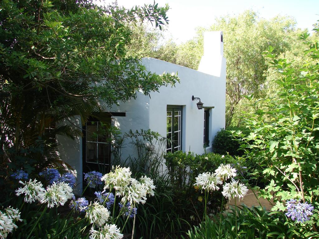 Old Mill Guest House Swellendam Rum bild